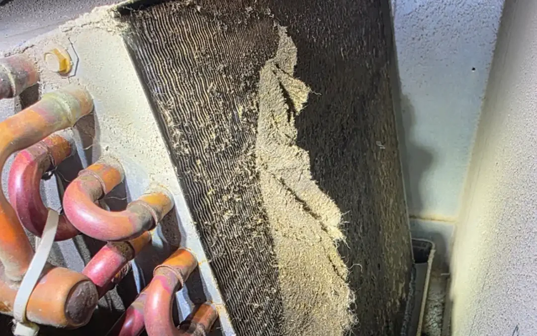 Low Refrigerant Symptoms in AC Systems and What to Do Next